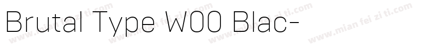 Brutal Type W00 Blac字体转换
